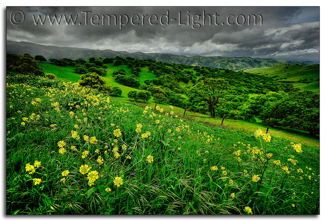 April Showers, May Flowers